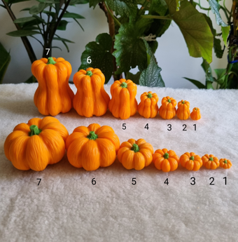 قالب کدوی بلند در 7 سایز